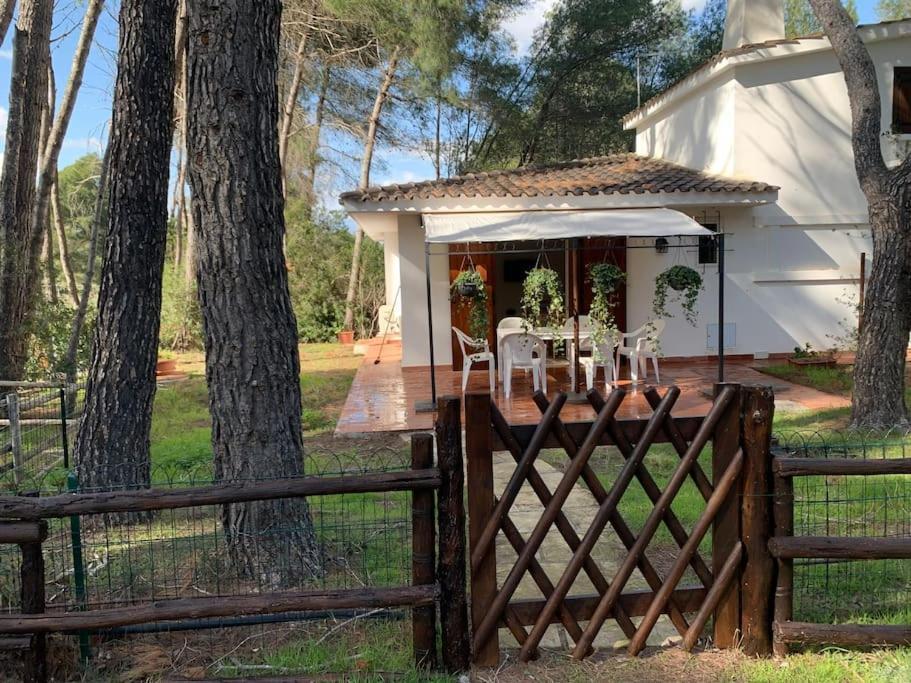 Chalet Felicita Con Giardino Immerso Nel Bosco Villa Castellaneta Marina Exterior photo